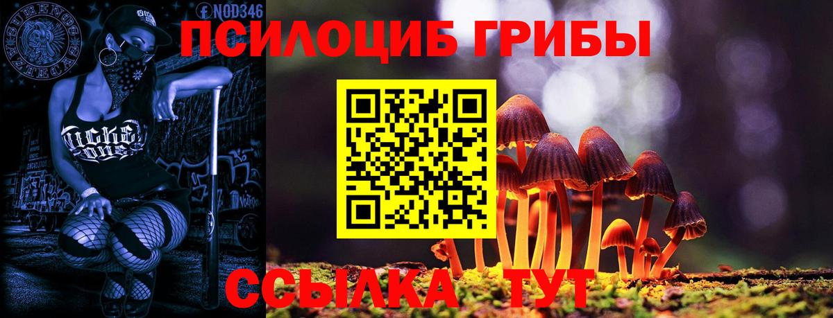 Кингисепп  Галлюциногенные грибы прущие грибы  Вход с VPN 